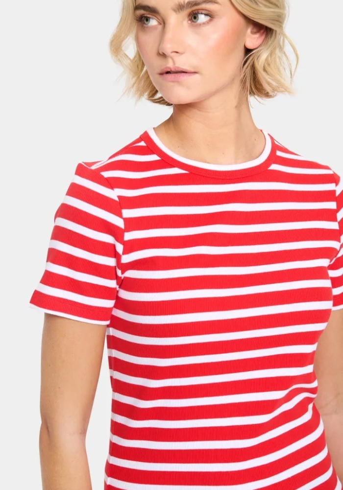 The Aster Stripe T-shirt