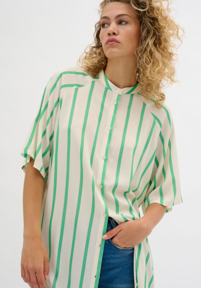 The Mia Shirtdress